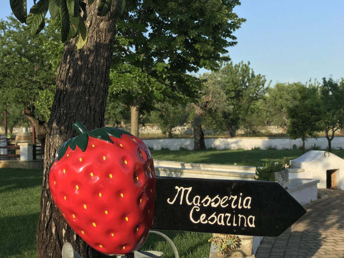 Masseria Cesarina B&B Castellana Grotte Exterior foto